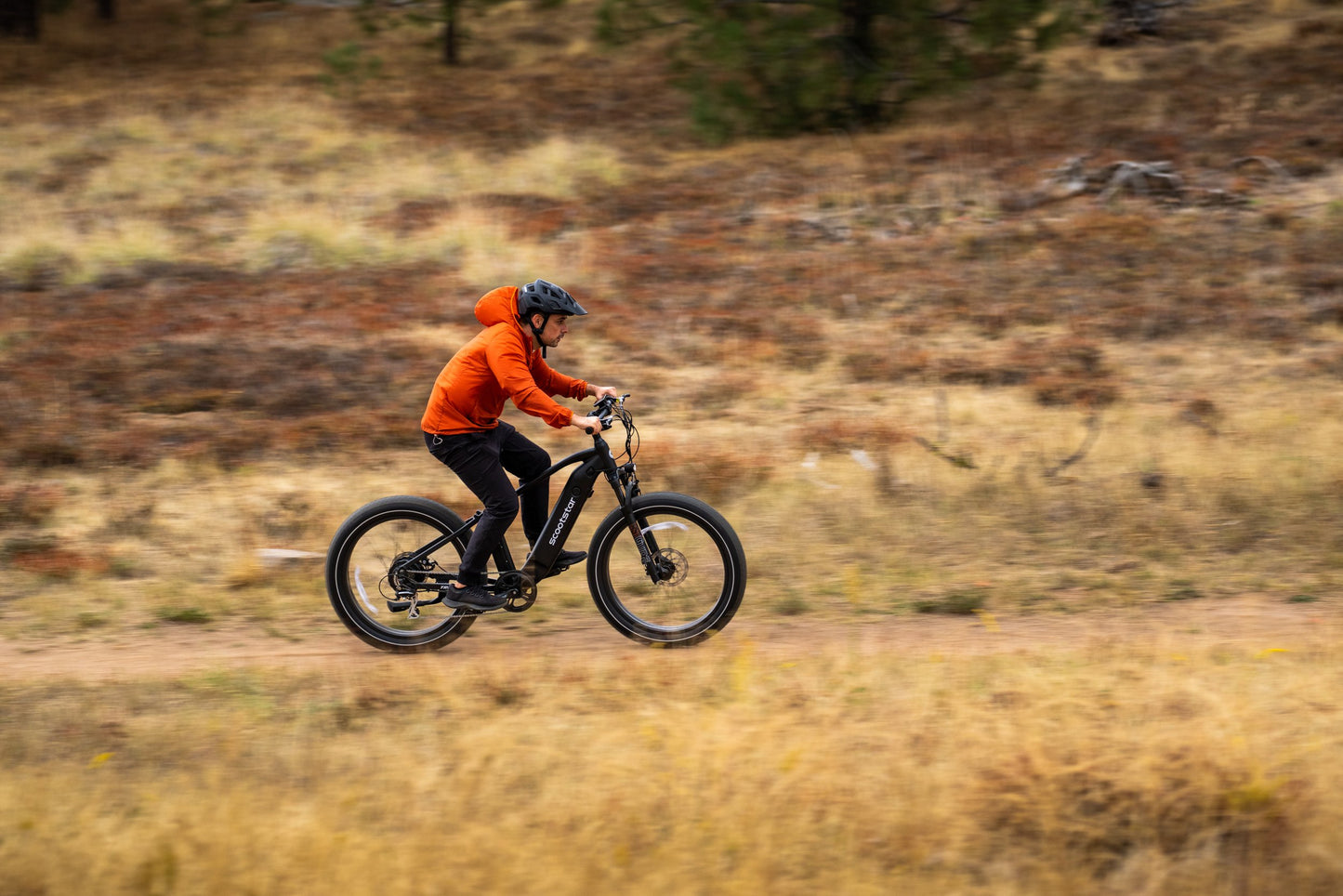 Scootstar TrailStar
