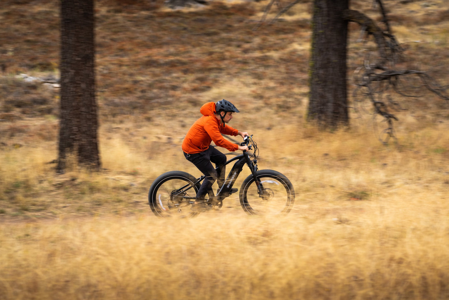 Scootstar TrailStar