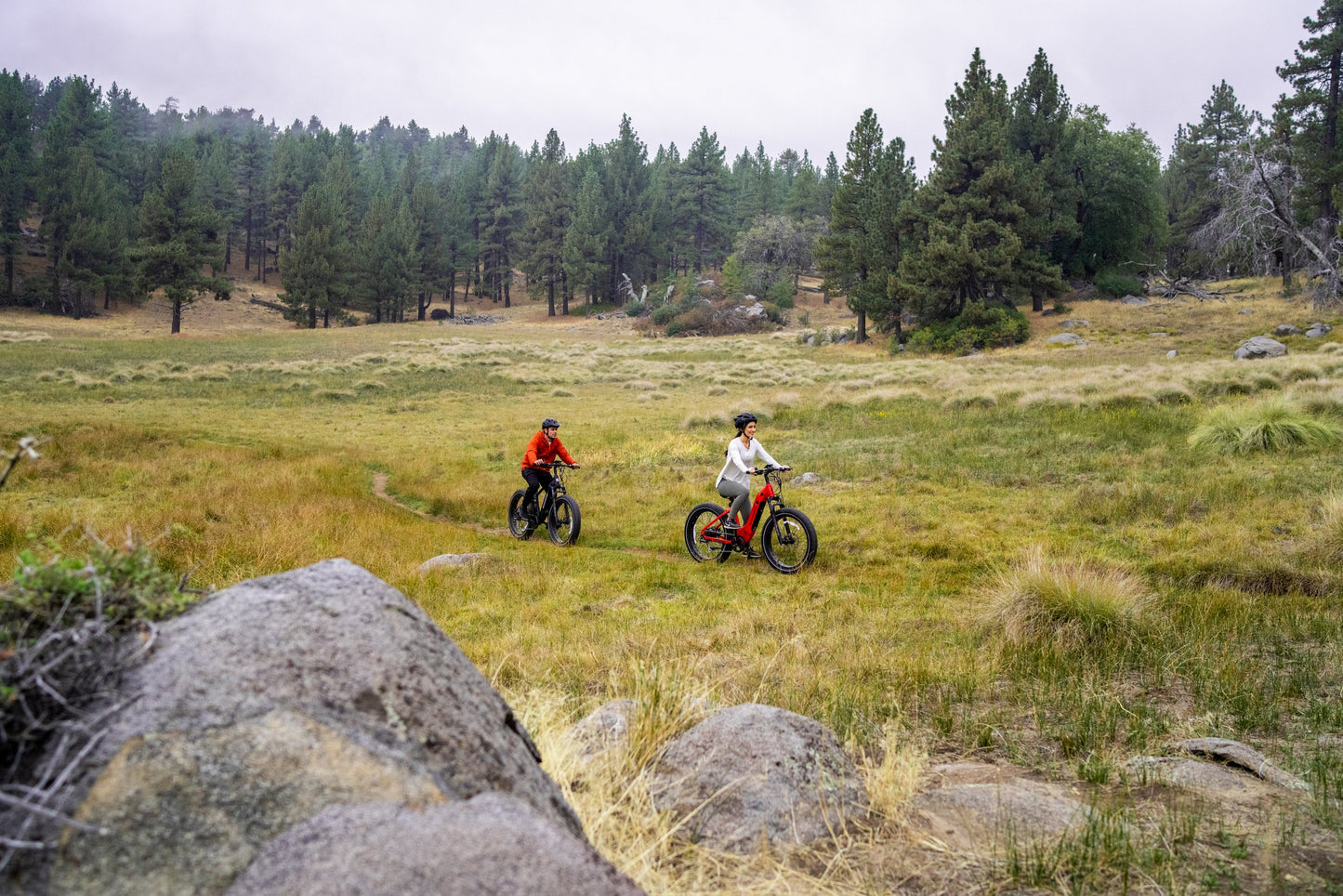 Scootstar TrailStar