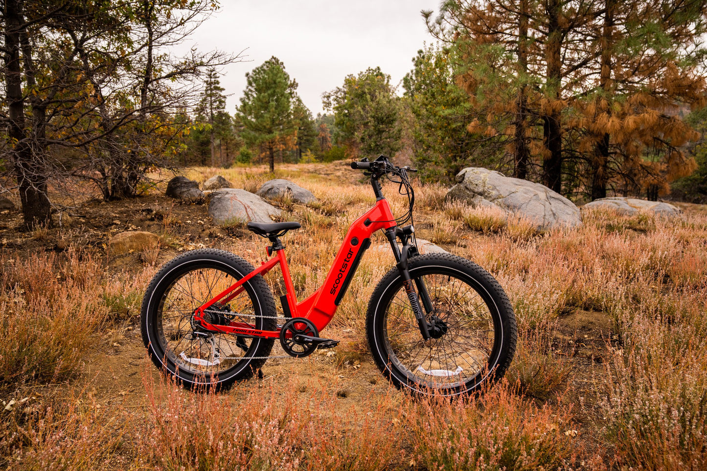 Scootstar TrackStar